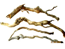 Treibholz Schwemmholz,  4