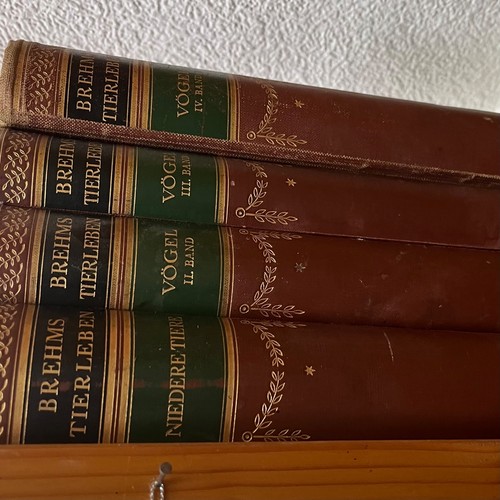 Bücherpaket von 1925 brehms - bücherpaket, 1925.