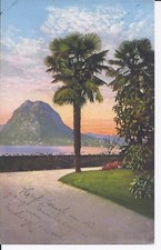 284 Lugano Castagnola Palme