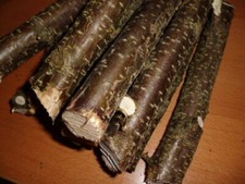 Holz stäbe haselnuss 2 - stäbe,, haselnuss,