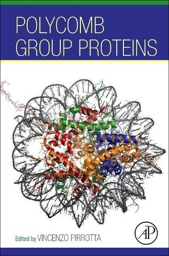 Polycomb group proteins - polycomb, by