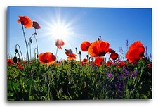 Lein-Wand-Bild Blumenbilder