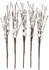 Dekorative Zweige mit