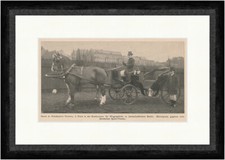 Herrn A. Friedhelms Victoria