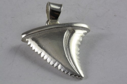 Haifischzahn haifisch shark - haifisch,