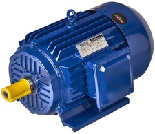 Drehstrommotor 22 kW 380 V