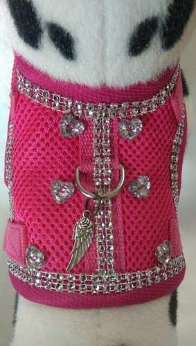 Hundegeschirr mit glitzer - hundegeschirr,
