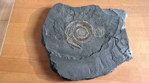 Schieferplatte mit - schieferplatte,