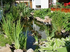  Pflanztasche mit 8 Taschen