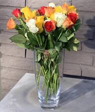 Leonardo Vase Glas Rund Klar