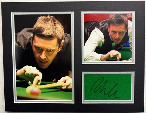 Profi snooker spieler - spieler, ricky