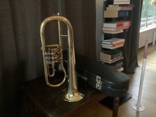 flügelhorn drehventil