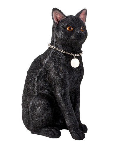 Schwarze katze cm groß - katze,