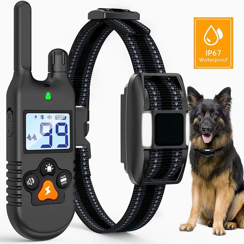 1000m hund ausbildung - 1000m,