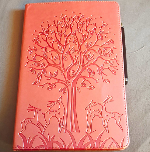 Tablet/eBook-Reader