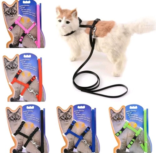 Katzen geschirr set - katzen,