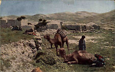 Ägypten Egypt ~1930 Kamel Camel Fellachendorf Fellachen Dorf Fellahin Village