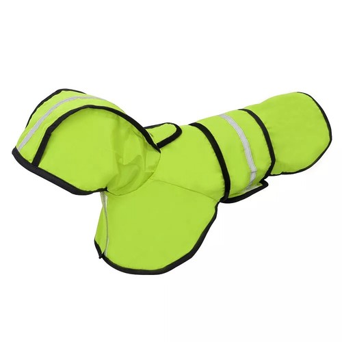 Kleine große hunde - große,