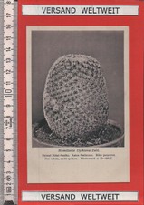 Otto Stoye: Mamillaria