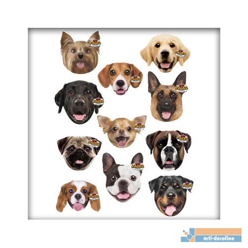 Pet faces kissen couchkissen - pet,
