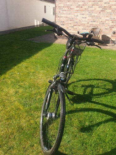 Pegasus herrenfahrrad zoll - pegasus,