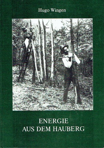 Wingen energie aus dem hauberg - dem,