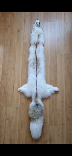 Fuchs fox fell - fuchs,