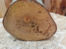 Drechselholz Buche Ø 13 cm x