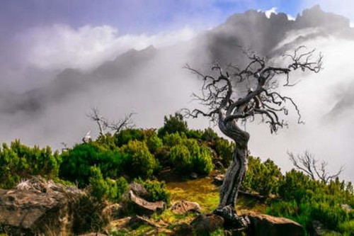 Wandbild berglandschaft der - berglandschaft,