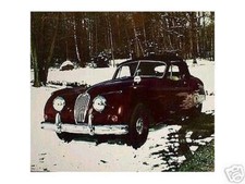 Altes Reklame Blechschild Jaguar Sportwagen Cabrio