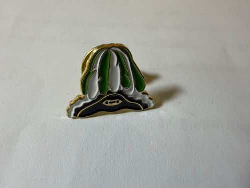 Köln karnevalsorden pin - köln,