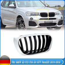 Nieren Grill Kühlergrill