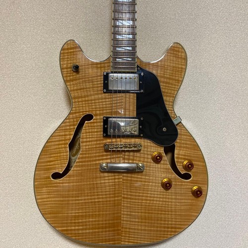 Washburn semi hollow - hb-35, nk