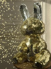 Hase, Bunny, Rabbit Disco