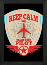 Flugzeug Pilot Flieger