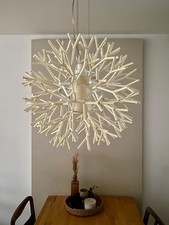 orig.Pallucco Coral