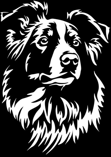 Border collie aufkleber - border,