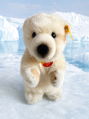 Steiff eisbär arco - -, 25