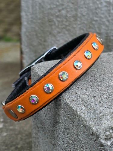 Hundehalsband 25cm leder - 25cm,
