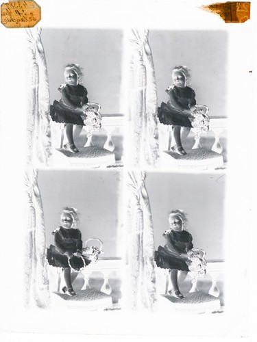 Negativ auf glasplatte 4 - negativ, glasplatte,