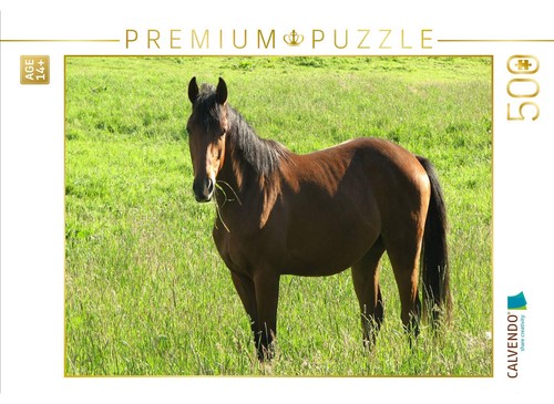 Calvendo puzzle pferd auf - puzzle,