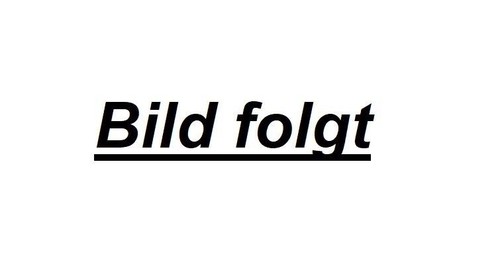 Nilfisk alto steuerkolben - alto,