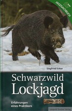 Erker: Schwarzwild Lockjagd