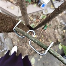 10x 9cm Astspreizer Obstbäume