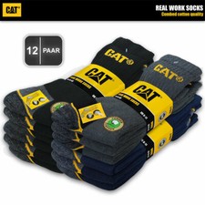 Paar cat caterpillar - , real
