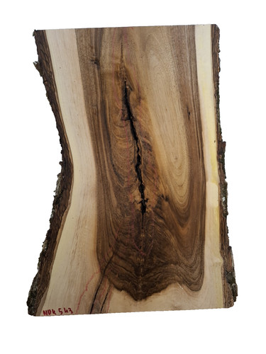 Nussbaum ast bohle - ast, brett