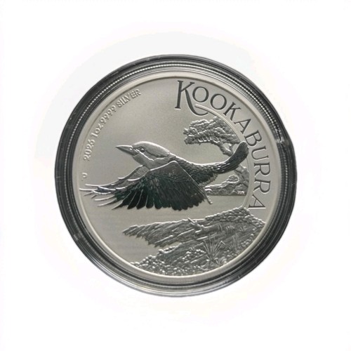 2026 australian kookaburra - 2026,