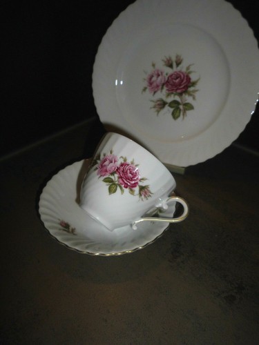 Kaiser moosrose 1 - kaiser,