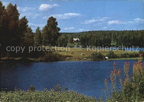 Finnland suomi see sommerhaus - suomi,