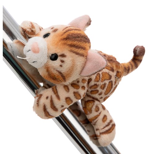 Nici magnici bengal katze ca - nici,,